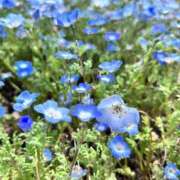 ヒメ日記 2026/04/04 22:54 投稿 ひなた みつらん鉄道