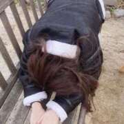 ヒメ日記 2026/04/09 08:04 投稿 ひなた みつらん鉄道