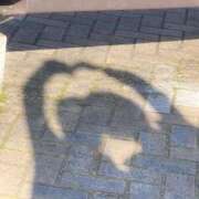 ヒメ日記 2026/04/10 07:24 投稿 ひなた みつらん鉄道