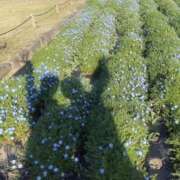 ヒメ日記 2026/04/13 08:04 投稿 ひなた みつらん鉄道