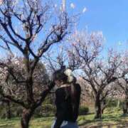 ヒメ日記 2026/04/14 07:54 投稿 ひなた みつらん鉄道