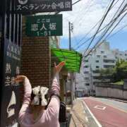ヒメ日記 2026/05/28 15:34 投稿 ひなた みつらん鉄道