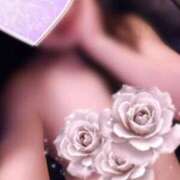 ヒメ日記 2025/04/24 09:05 投稿 まいか 美熟女倶楽部Hip's 春日部店