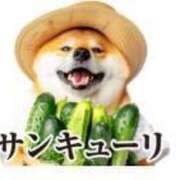 ヒメ日記 2025/05/22 16:22 投稿 さおり 妻天 尼崎店