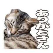 ヒメ日記 2026/01/21 14:30 投稿 さおり 妻天 尼崎店