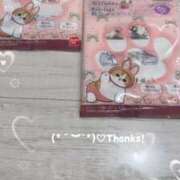 ヒメ日記 2026/02/19 18:33 投稿 さおり 妻天 尼崎店