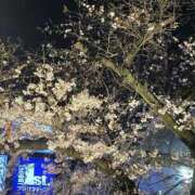 ヒメ日記 2026/03/30 09:50 投稿 さおり 妻天 尼崎店