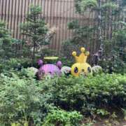 ヒメ日記 2025/05/07 16:52 投稿 あさひ 千葉人妻セレブリティ（ユメオト）