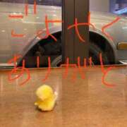 ヒメ日記 2025/05/14 17:21 投稿 あさひ 千葉人妻セレブリティ（ユメオト）