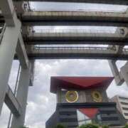 ヒメ日記 2025/05/15 13:01 投稿 あさひ 千葉人妻セレブリティ（ユメオト）