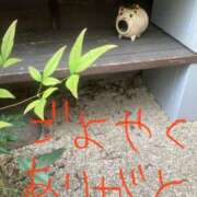 ヒメ日記 2025/05/15 17:40 投稿 あさひ 千葉人妻セレブリティ（ユメオト）