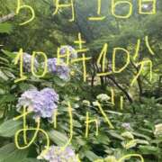 ヒメ日記 2025/05/17 10:39 投稿 あさひ 千葉人妻セレブリティ（ユメオト）