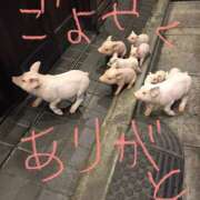 ヒメ日記 2025/05/26 08:21 投稿 あさひ 千葉人妻セレブリティ（ユメオト）