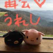 ヒメ日記 2025/06/04 16:37 投稿 あさひ 千葉人妻セレブリティ（ユメオト）