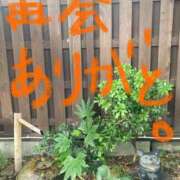 ヒメ日記 2025/07/03 16:30 投稿 あさひ 千葉人妻セレブリティ（ユメオト）