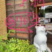 ヒメ日記 2025/07/04 16:40 投稿 あさひ 千葉人妻セレブリティ（ユメオト）