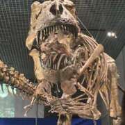 ヒメ日記 2025/07/31 18:09 投稿 あさひ 千葉人妻セレブリティ（ユメオト）