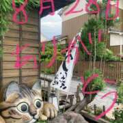 ヒメ日記 2025/08/28 14:48 投稿 あさひ 千葉人妻セレブリティ（ユメオト）