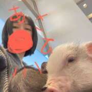 ヒメ日記 2025/12/19 16:31 投稿 あさひ 千葉人妻セレブリティ（ユメオト）