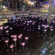 ヒメ日記 2026/01/14 18:19 投稿 あさひ 千葉人妻セレブリティ（ユメオト）