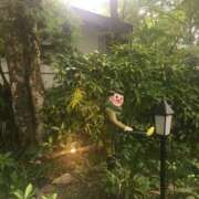 ヒメ日記 2026/01/25 17:00 投稿 あさひ 千葉人妻セレブリティ（ユメオト）