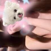 ヒメ日記 2025/10/09 11:25 投稿 すずか VIVIDCREW 梅田堂山店