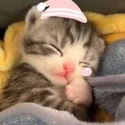 ゆずな おやすみ😴 東京♂風俗の神様 町田・相模原店