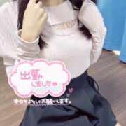 ヒメ日記 2025/04/24 16:13 投稿 もえか でりどす