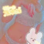 ヒメ日記 2025/04/17 19:08 投稿 井上 まお プルプルオフィスディーバ