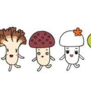 ヒメ日記 2025/04/21 10:27 投稿 井上 まお プルプルオフィスディーバ