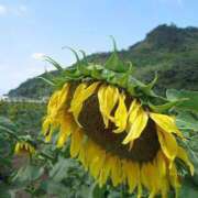 ヒメ日記 2025/06/12 09:37 投稿 井上 まお プルプルオフィスディーバ