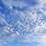 ヒメ日記 2025/08/28 09:08 投稿 井上 まお プルプルオフィスディーバ