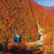 ヒメ日記 2025/11/01 09:17 投稿 井上 まお プルプルオフィスディーバ