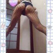 ヒメ日記 2025/07/01 14:20 投稿 本田しほり 五十路マダム 徳島店