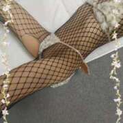 ヒメ日記 2025/07/01 14:40 投稿 本田しほり 五十路マダム 徳島店