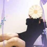 ヒメ日記 2025/08/22 23:02 投稿 本田しほり 五十路マダム 徳島店