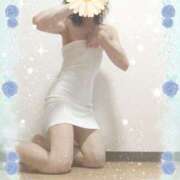 ヒメ日記 2025/08/25 13:22 投稿 本田しほり 五十路マダム 徳島店