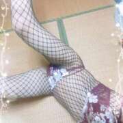 ヒメ日記 2025/12/19 12:36 投稿 本田しほり 五十路マダム 徳島店