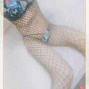 ヒメ日記 2026/02/01 12:18 投稿 本田しほり 五十路マダム 徳島店