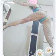 ヒメ日記 2026/02/02 15:46 投稿 本田しほり 五十路マダム 徳島店