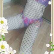 ヒメ日記 2026/03/03 16:18 投稿 本田しほり 五十路マダム 徳島店