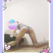 ヒメ日記 2026/03/29 17:14 投稿 本田しほり 五十路マダム 徳島店