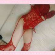 ヒメ日記 2026/04/01 10:40 投稿 本田しほり 五十路マダム 徳島店