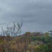 ヒメ日記 2026/03/30 18:38 投稿 つばき 熟女の風俗最終章 沼津店