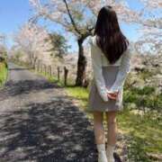 ヒメ日記 2026/04/09 11:42 投稿 園田かんな AroMarquis（周南店）