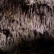 ヒメ日記 2025/05/26 10:28 投稿 菜乃花 Selection(セレクション)(沖縄)