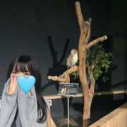 ヒメ日記 2025/06/01 20:31 投稿 菜乃花 Selection(セレクション)(沖縄)