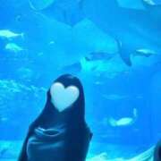 ヒメ日記 2025/06/26 23:31 投稿 菜乃花 Selection(セレクション)(沖縄)