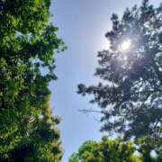 ヒメ日記 2025/04/27 13:43 投稿 れん奥様 川崎人妻ソープ Mint(ミント)