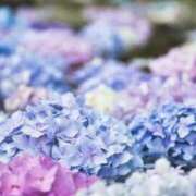 ヒメ日記 2025/06/13 15:57 投稿 れん奥様 川崎人妻ソープ Mint(ミント)